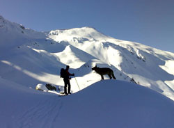 Contro le valanghe, il senso della neve