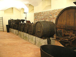 Le botti conservate nel museo