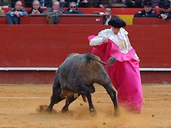 “ABC” dell’Aficionado a “Los Toros”