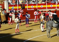 Toros, comincia la “temporada”