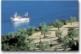 Il Parco Nazionale del Gargano