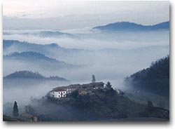 Langhe nella nebbia