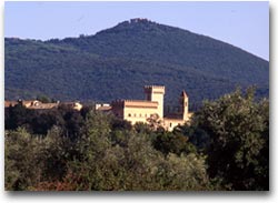 Bolgheri (Foto:APT Costa degli Etruschi)