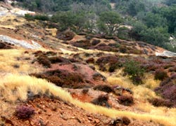 Il paesaggio delle Biancane