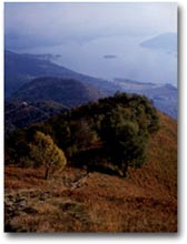 Panorama sul Lago Maggiore