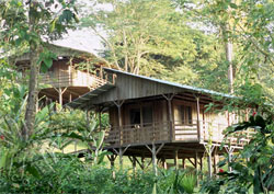 Selva Bananito Lodge