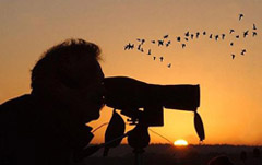 Un birdwatcher in osservazione