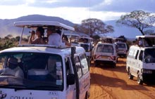 Escursione al Parco Tsavo