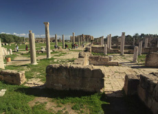 Leptis Magna L'ampio spazio che ospitava la palestra