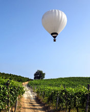 Mongolfiera sulle Langhe (Foto: Marco Salzotto)