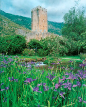 Giardino di Ninfa, Cisterna (Latina)