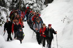 Appassionati di montagna a Bressanone