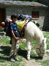 In cammino da soli o con mamma e papà