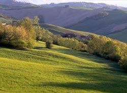 Boschi di Carrega