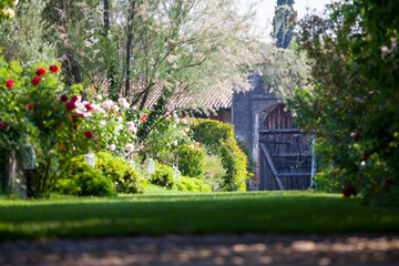 Gita fuori porta nel giardino bioenergetico