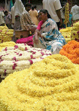 Composizione floreale (Foto: Vivindia)