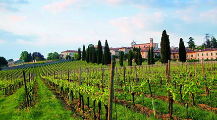 Franciacortando di gusto