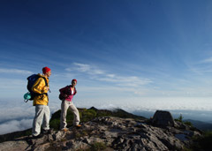 Trekking sul Gunung Ledang (Monte Ophir)
