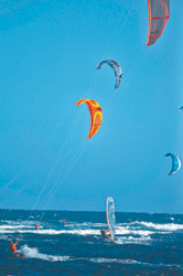 Kites in mare