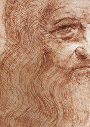 L'autoritratto di Leonardo alla Venaria Reale