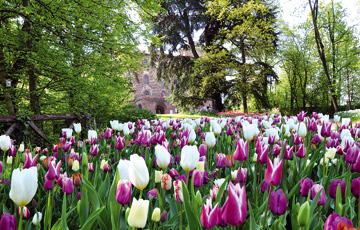 Messer Tulipano sabato 30 marzo al Castello di Pralormo (Torino)