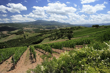 La Cina a scuola di enoturismo a Montalcino