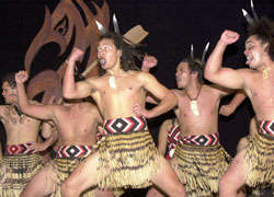 La danza dei Maori