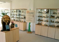 Sala del museo di storia naturale