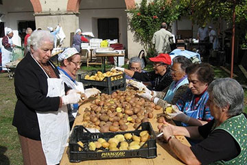 Fritta, lessa, "rescallata". La sagra della patata