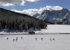 Polo sul lago ghiacciato di Misurina