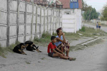 Persone e animali in strada (Foto: Fabio Cravarezza)