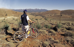 In bici nel deserto (Foto: SATC)