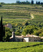 Valpolicella in volo